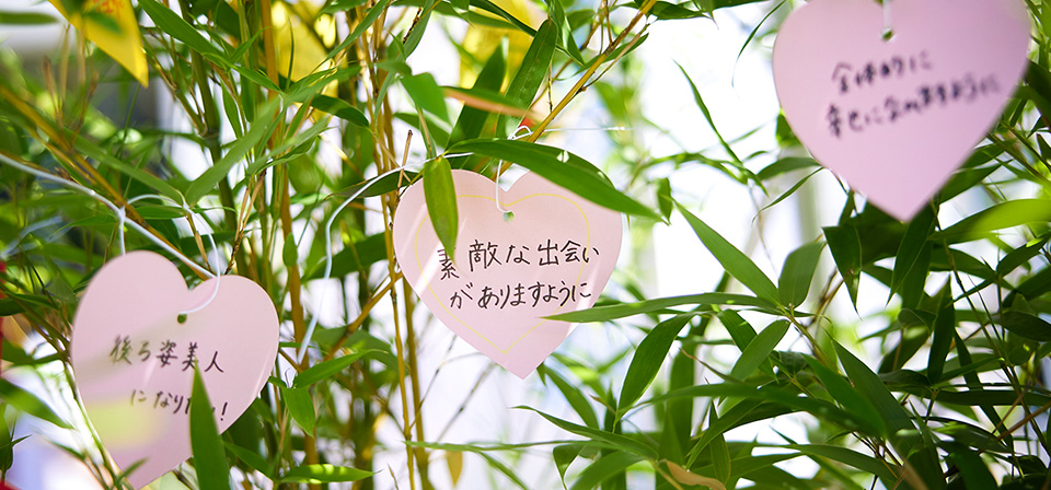 レポート２メイン画像