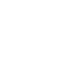 WEB相談へ