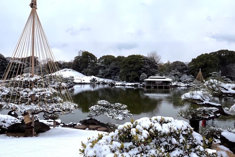 写真：開催当日の清澄庭園（雪景色）